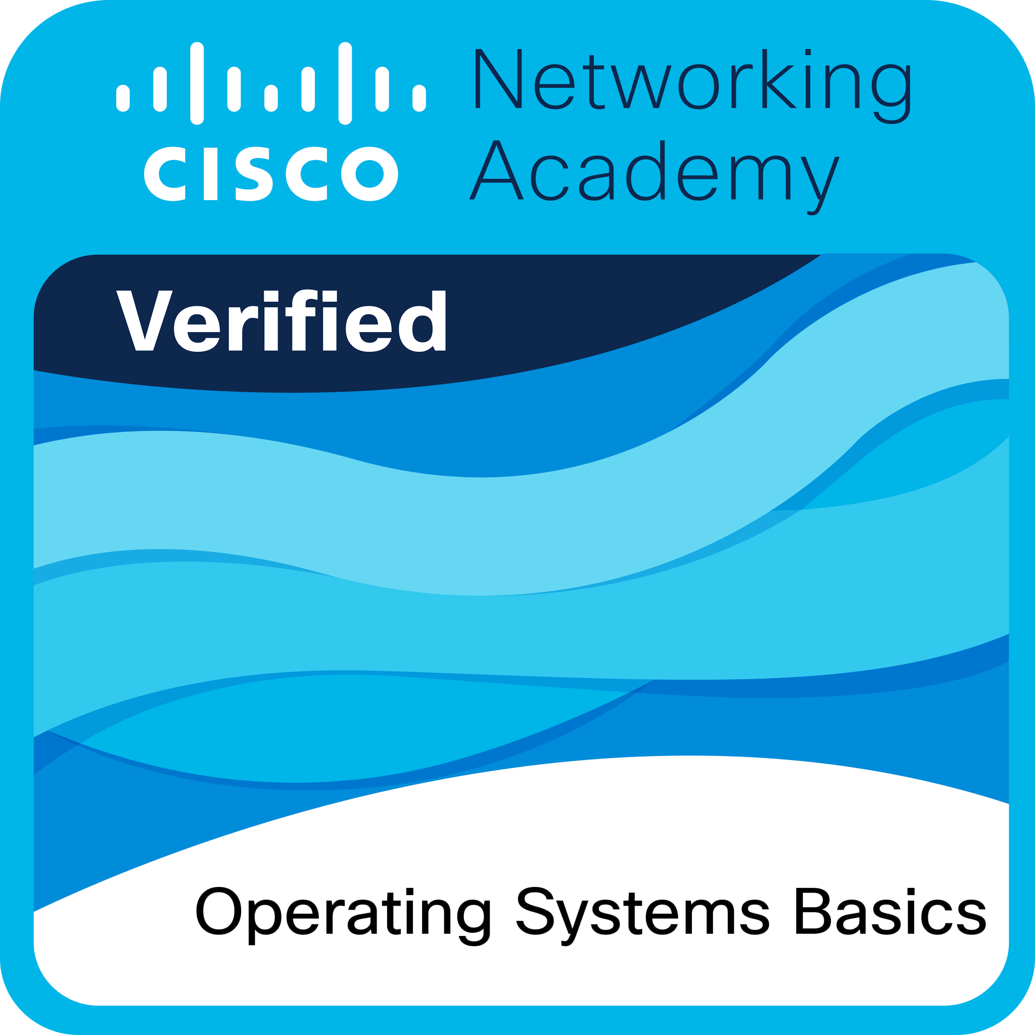 Operating Systems Basics badge